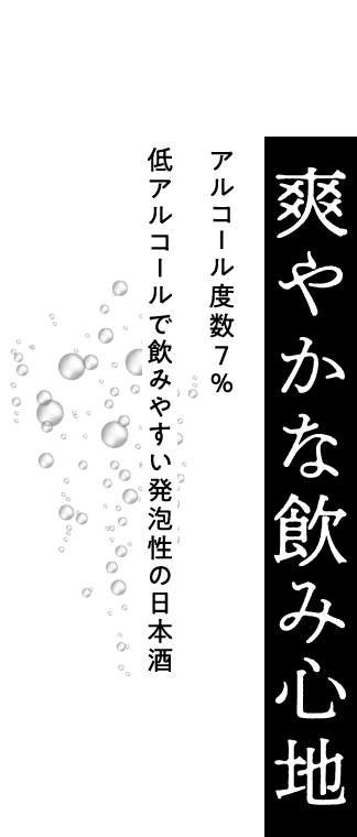 日本盛 ジャパンソーダ