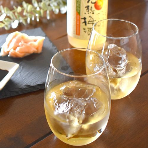 紀州南高梅 梅酒 日本酒