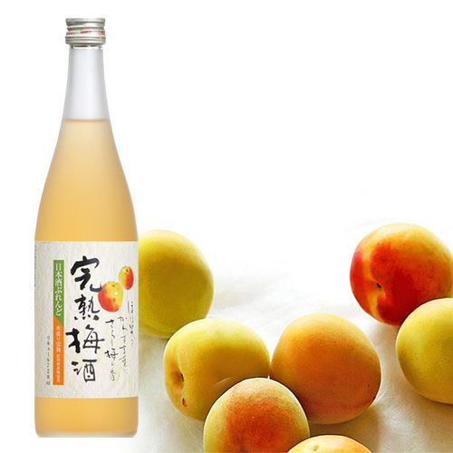 完熟梅酒 日本酒ぶれんど｜ SAKARI online（日本盛）